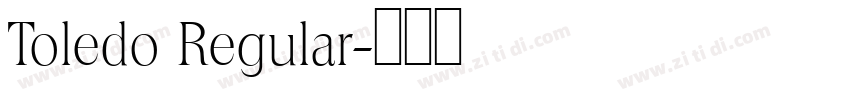 Toledo Regular字体转换